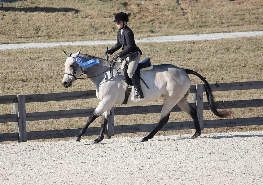Emma Kate Thome riding Luna and displaying her blue ribbon, which signifies her Pony medal at the SHJG finals. Photo courtesy of Connie Thome. 