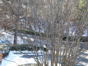 IMG_0014 (800x600)