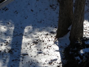 The ground had 3-4 inches of snow.