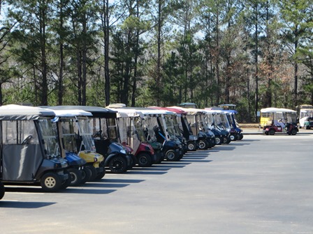 Golf carts can neatly fit into each parking space, yet drivers of cars often park there horizontally covering at least six spaces in the process.