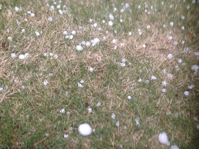 Hail in various sizes dots the football field.