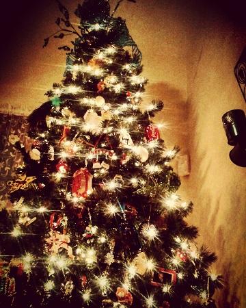Oh Christmas Tree