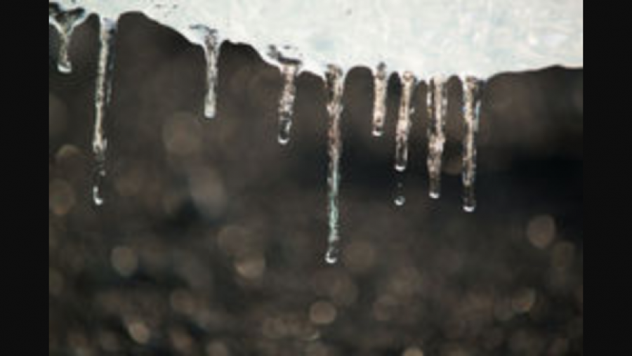 Ice accumulated over the weekend.