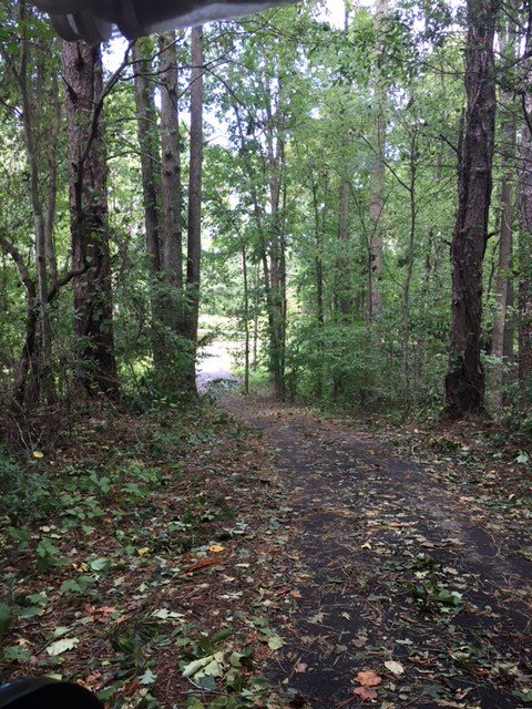 Tree+branches+and+leaves+cover+Peachtree+City+golf+cart+paths+after+Hurricane+Irma.