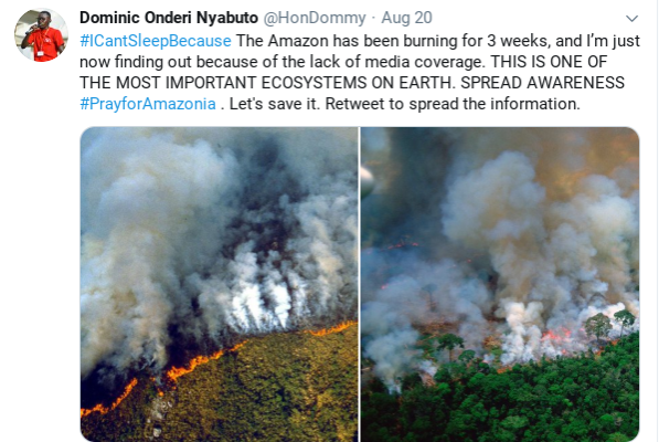 The viral Twitter post that began the movement to raise awareness of the Amazonian fires. 