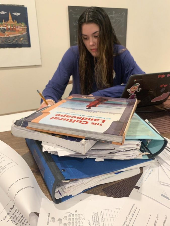 Freshman Greta Barrett completes an AP Human Geography assignment at her kitchen table.