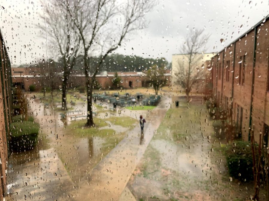 A picture of the courtyard, taken from the upstairs senior hallway, on March 2, 2020, 10 days before the lockdown.