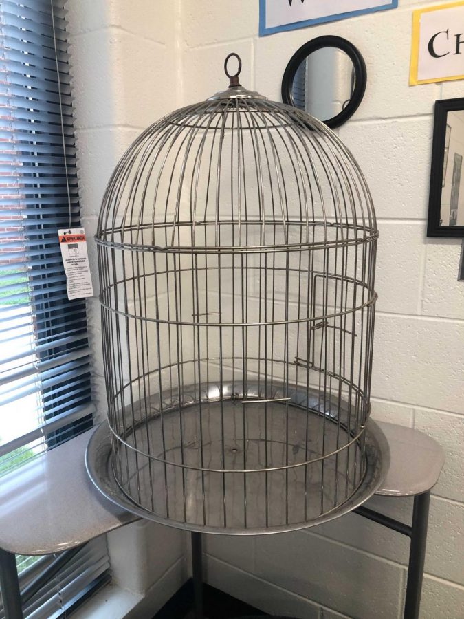 The empty cage for Scotts Harry Potter stuffed owl,  Hedwig, sits in the corner of the classroom after Scott noticed the sentimental item had been taken. 