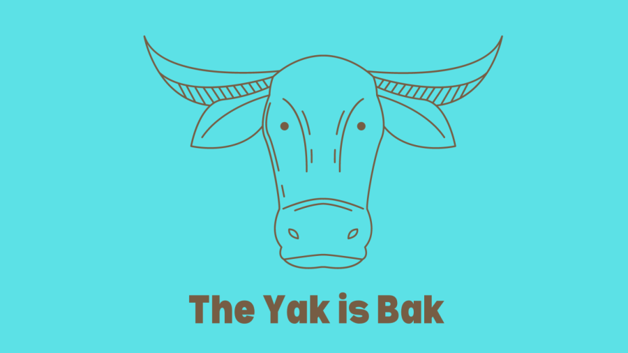 Messaging App Yik Yak Gains Popularity in Fayette County
