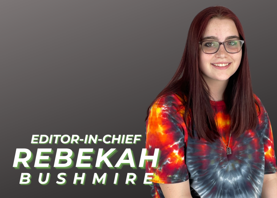 Rebekah Bushmire, Editor-in-Chief