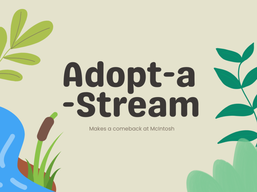 Graphic designed on Canva, titled Adopt-a-Stream, by Lulu Vitulo