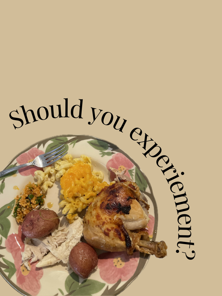 A picture of a plate of Kalpakci's thanksgiving dinner. Graphic made in Canva by Yasemin Kalpakci.