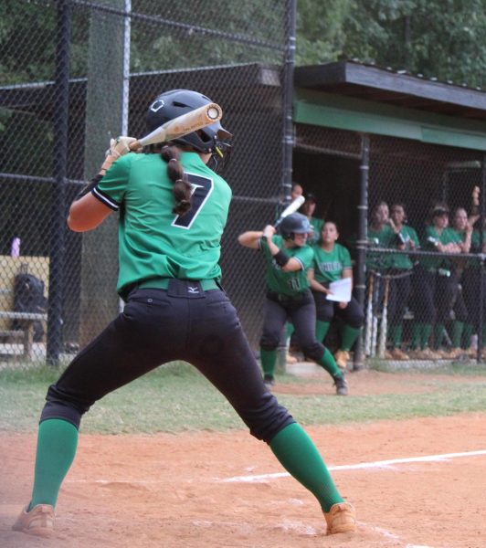 Amelia Angier batting at home plate at the Dutchtown game on Aug.16 Photo by Noa Amos