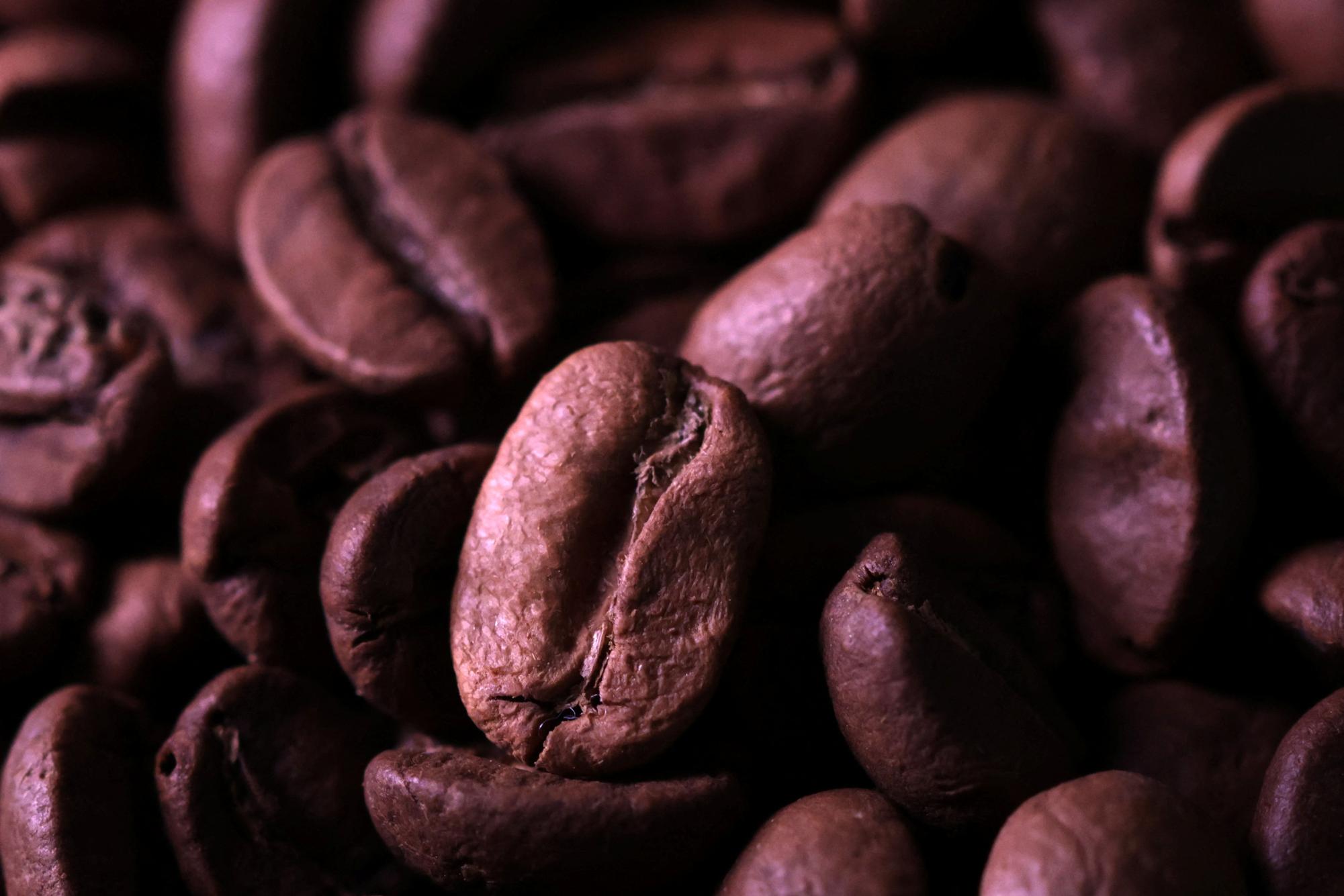 An image of coffee beans taken December 17, 2024. REUTERS/Dado Ruvic/Illustration