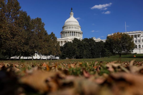 The U.S. Capitol houses Congress, which will be responsible for deciding on an agreement that will end the shutdown, in Washington, D.C., U.S., Oct. 27.
REUTERS/Kylie Cooper