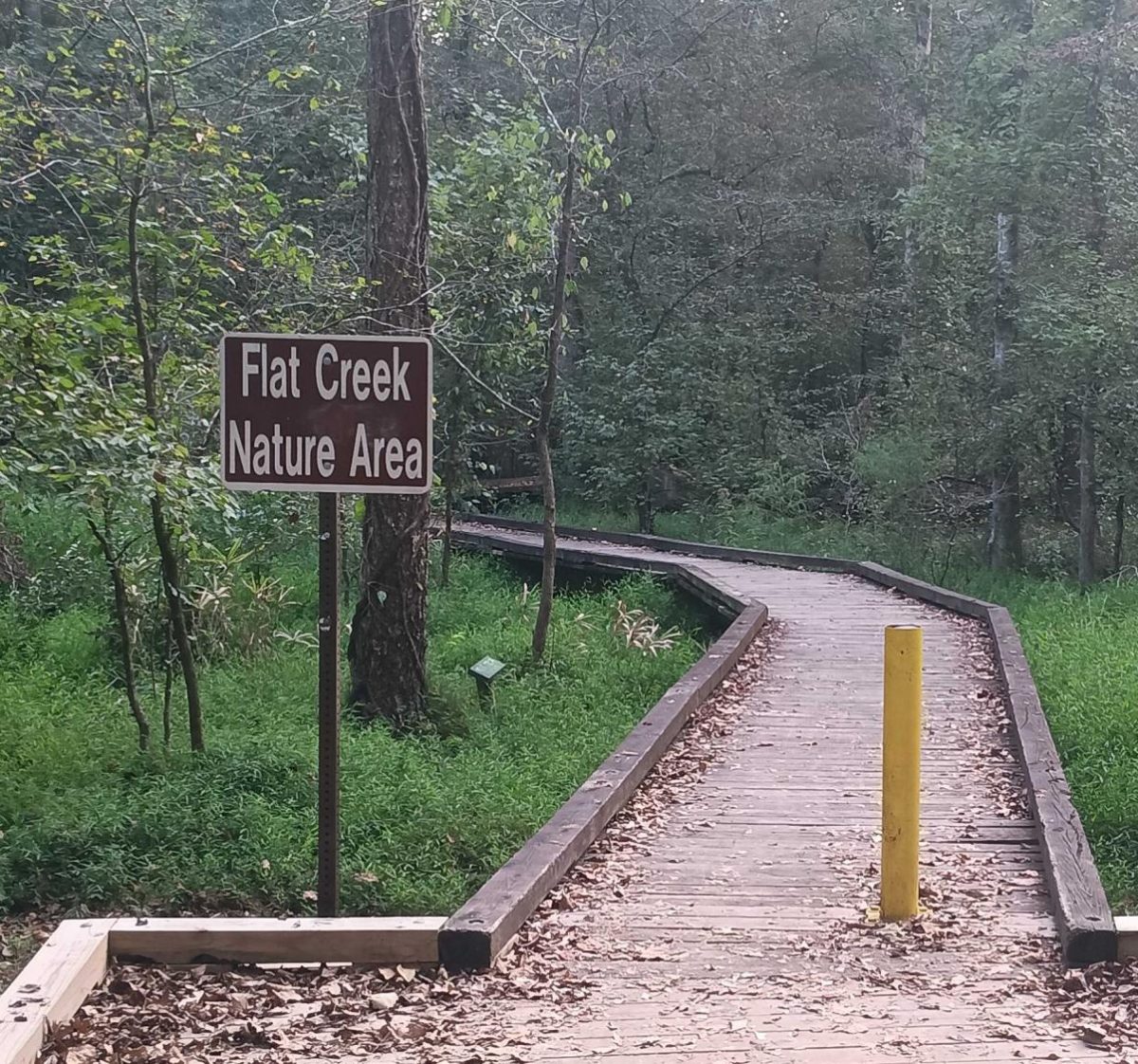 A photo of Flat Creek Nature area, right by the Greenbelt where to Deer Management Program is taking place. 