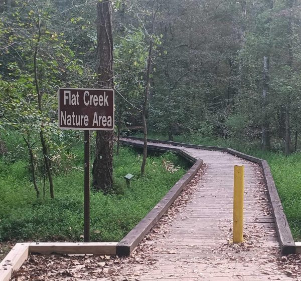A photo of Flat Creek Nature area, right by the Greenbelt where to Deer Management Program is taking place. 