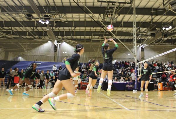 Setter Baylee Tanton (11) sets to Claudia Meditz (12) at the state championship match.