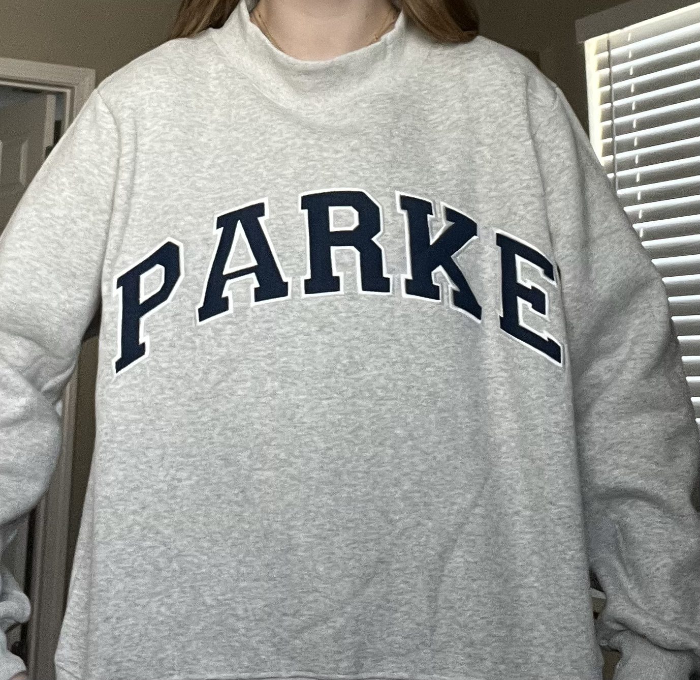 A picture of the small/medium "PARKE" sweatshirt I bought off eBay.
